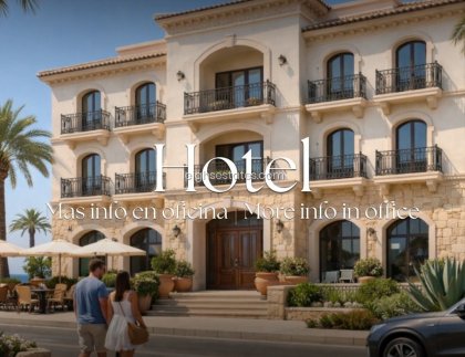 Comercial - Reventa - San Javier -
                San Javier