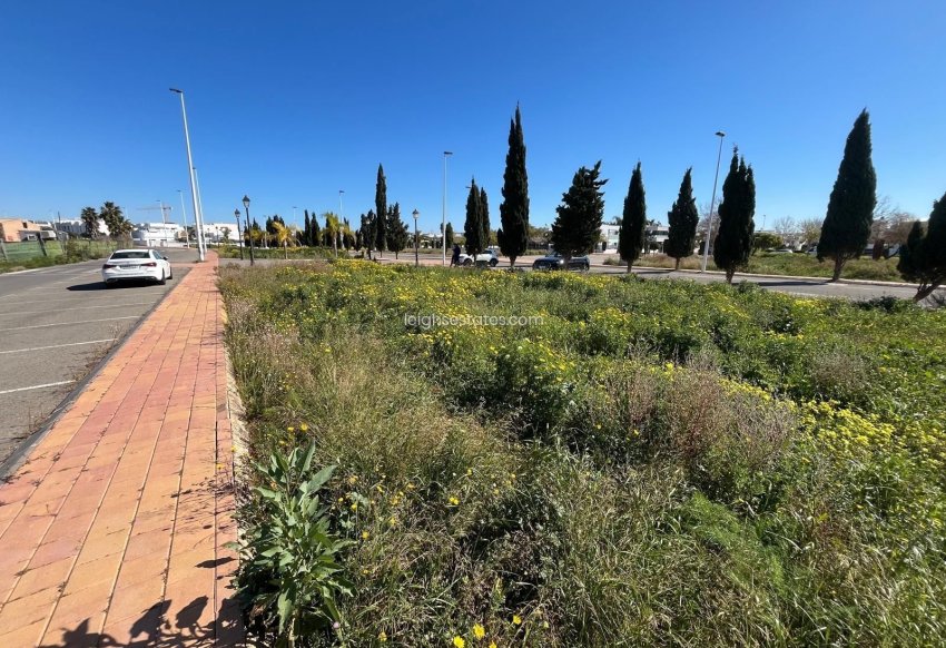 Revente - Parcelle  -
San Pedro del Pinatar