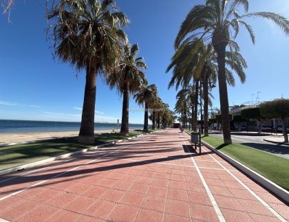 Revente - Commercial -
San Javier