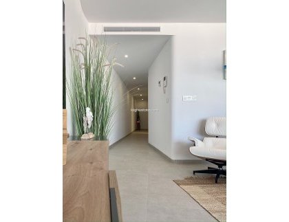 New Build - Apartment  -
San Pedro del Pinatar